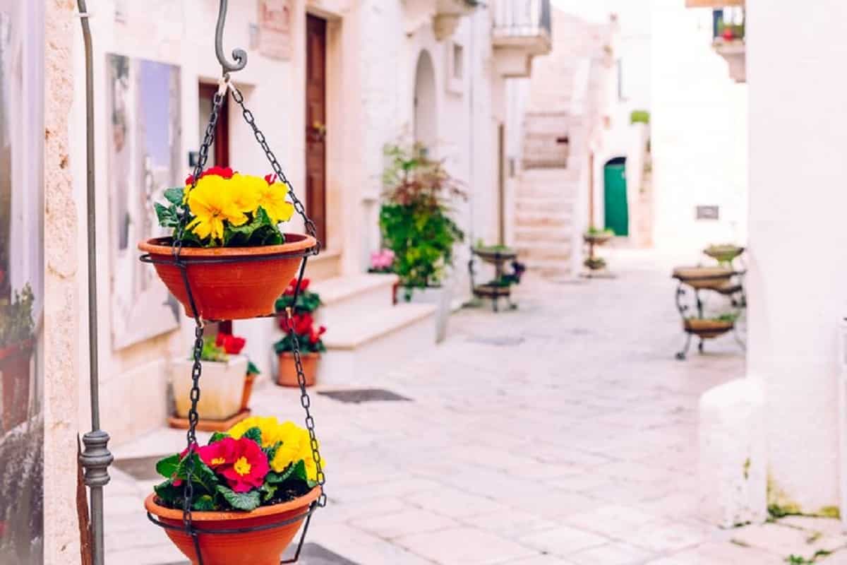Locorotondo, Puglia – Por que você vai adorar esta encantadora cidade no coração do Sul da Itália – Parte II Foto: Freepik