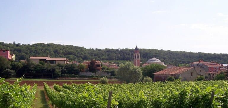 Comuna de Alonte, na província de Vicenza, em Vêneto – A cidade rural pitoresca repleta de campos, vinhas e olivais Foto: Wikimedia